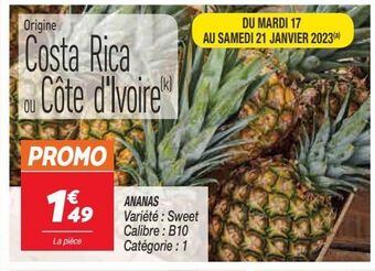 Netto Ananas offre