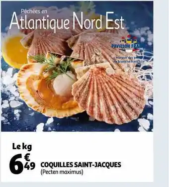 Auchan Coquilles saint-jacques offre