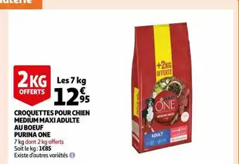 Croquettes pour chien medium maxi adulte au bĆuf purina one