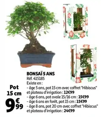 Auchan Bonsaï 5 ans offre