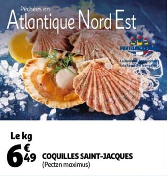 Auchan Coquilles saint-jacques offre