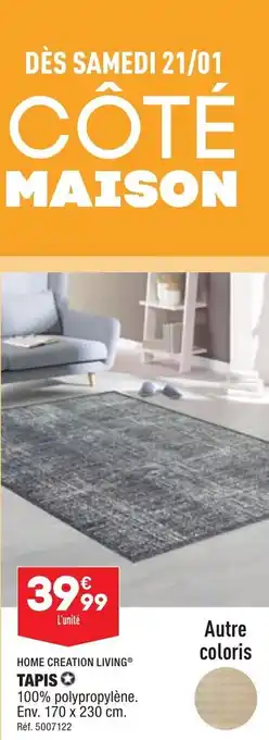 ALDI Home Creation Living Tapis 100% Polypropylene Env.170x230 cm offre