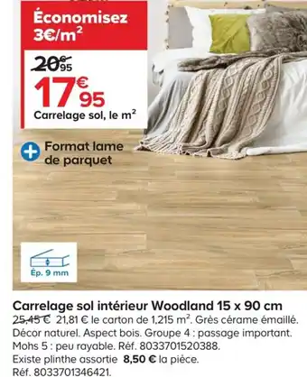 Castorama Carrelage Sol Intérieur Woodland 15 x 90 cm offre