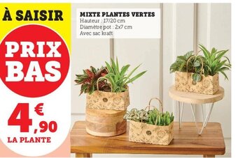 U Express Mixte Plantes Vertes offre