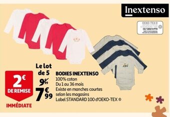 Bodies Inextenso