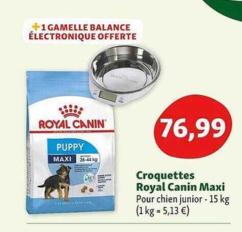 Maxi Zoo Croquettes royal canin maxi offre