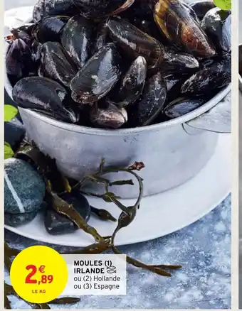 Intermarché Moules Irlande offre