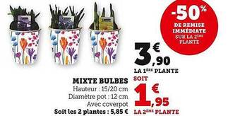 Mixte bulbes