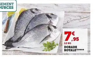 Super U Dorade royale offre