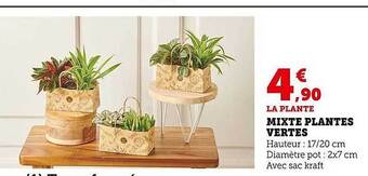 Super U Mixte plantes vertes offre