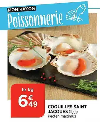 Bi1 Coquilles saint jacques offre