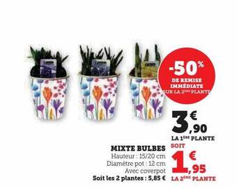 Hyper U Mixte bulbes offre