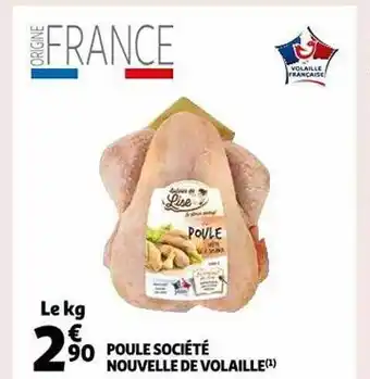 Auchan Poule société nouvelle de volaille offre