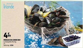 Auchan Moules de corde bio offre