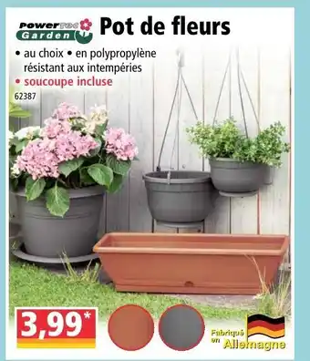 Norma Pot de fleurs offre