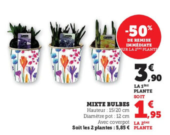 Super U Mixte bulbes offre