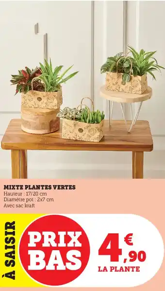 Super U Mixte plantes vertes offre