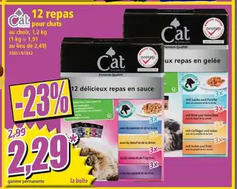 Norma 12 Repas offre