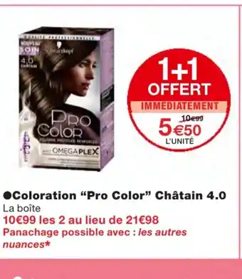 Coloration Pro Color Châtain 4.0
