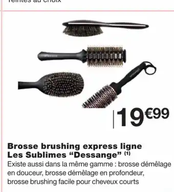 Monoprix Brosse brushing express ligne offre