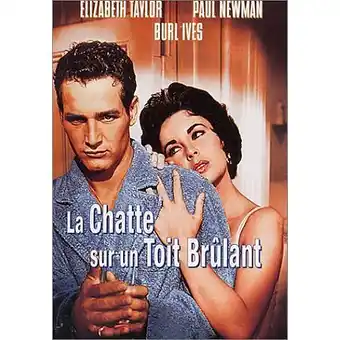 La chatte sur un toit brulant