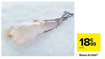 Carrefour Queue de lotte offre