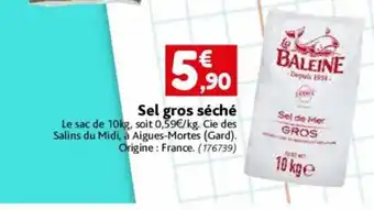 Sel Gros Seche