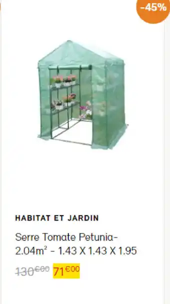 Bricomarché Serre tomate petunia offre