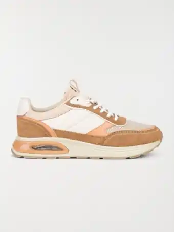 DistriCenter Basket tricolore femme (36-41) offre
