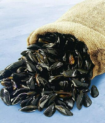 Casino Supermarchés Moules de bouchot offre