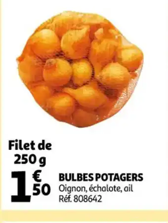 Bulbes Potagers