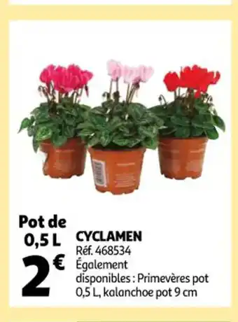 Auchan Cyclamen offre