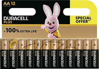 Casino Supermarchés Lot de 12 piles AA PLUS 100% offre