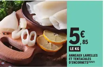 Anneaux Lamelles et Tentacules D'Encornets