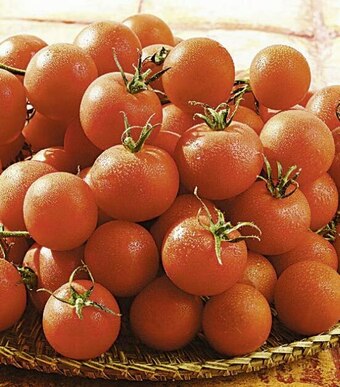 Casino Supermarchés Tomate cerise ronde bio offre