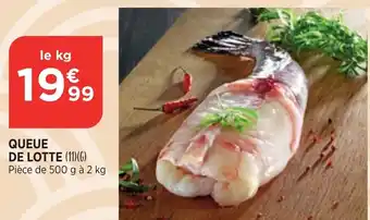Bi1 Queue de Lotte offre
