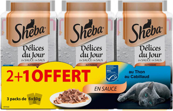 Match Délices du jour sachets fraîcheur pour chat offre