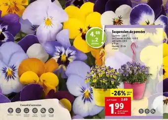 Lidl Suspension De Pensées offre
