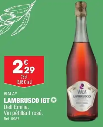 Lambrusco igt VIALA