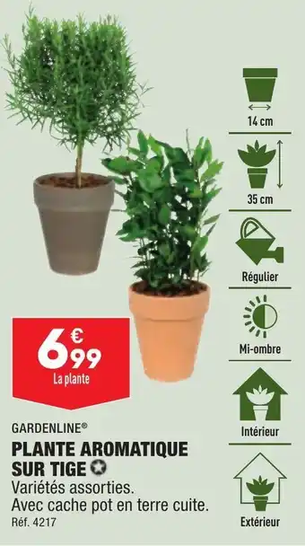 ALDI Plante aromatique sur tige offre