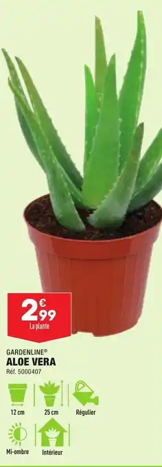 ALDI Aloe vera offre