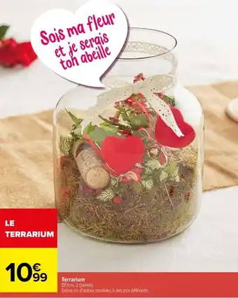 Carrefour Terrarium offre