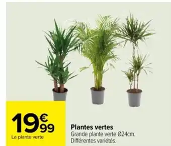 Carrefour Plantes Vertes offre