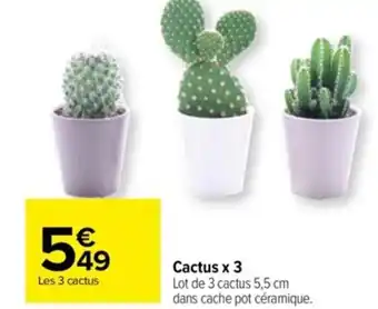 Carrefour Cactus x 3 offre