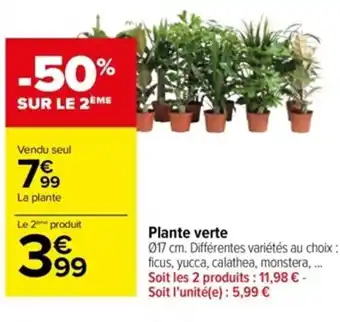 Carrefour Plante Verte offre