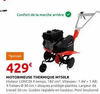 Rural Master Motobineuse thermique mt50lr temver offre