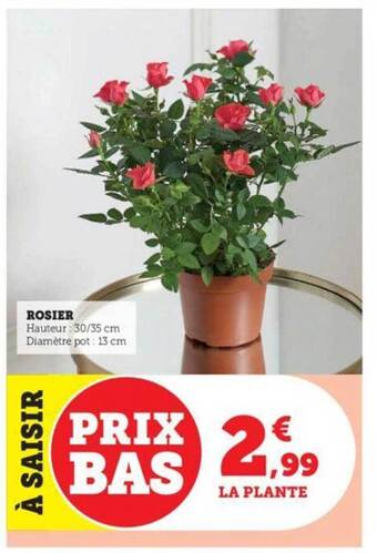 Hyper U Rosier offre