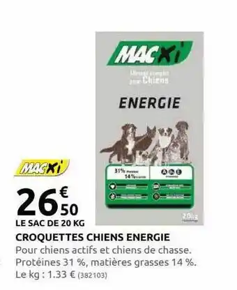 Rural Master Croquettes chiens energie offre