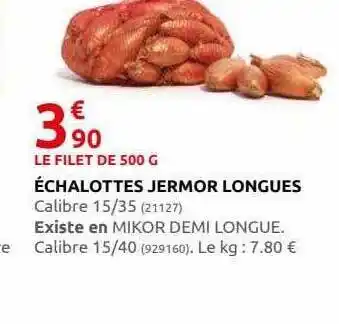Échalotes jermor longues