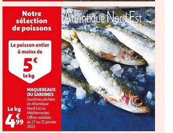 Auchan Maquereaux ou sardines offre